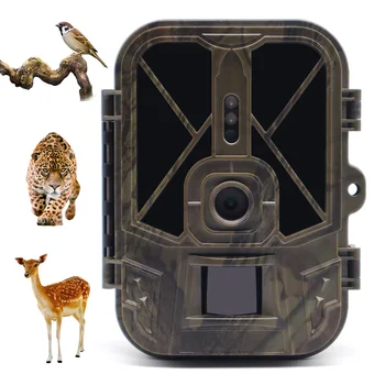Камеры SuntekCam Wildlife Trail 50MP 4K IP65 Охотничья Камера HC940A с Батареей 10 *AA Ночного Видения, Фотоловушки, Беспроводное Наблюдение