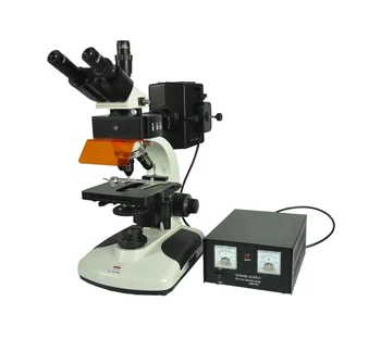 Трехкулярный эпифлуоресцентный лабораторный микроскоп YUJIE YJ-2002H с увеличением в 40-1600 раз